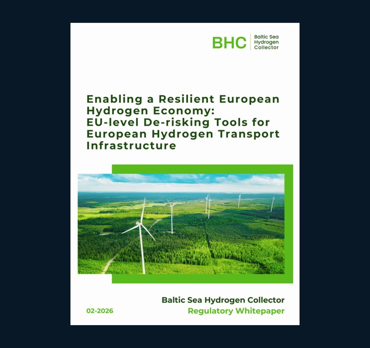 BHC Website News White Paper V7